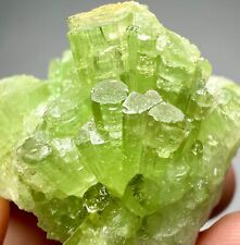 Top Quality Tourmaline Crystals Bunch On Matrix. Kunar, AFG 25 GM. picture