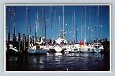 Nantucket, MA-Massachusetts, Boat Basin, Vintage Postcard picture