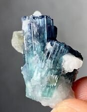 21 Carat Indicolite Tourmaline Crystal Specimen From Afghanistan picture