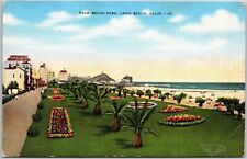 Palm Beach Park Long Beach California Baby Palm Trees Flower Landscape Postcard picture