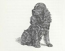 Cocker Spaniel - CUSTOM MATTED - Vintage Dog Art Print - 1954 Kirmse picture