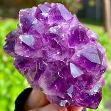 128G  Very Rare Natural Amethyst Flower Cluster Specimen Healing picture