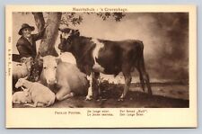 Paulus Potter The Young Bull Art Postcard Mauritshuis Collection Netherlands Vtg picture