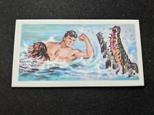 1967 Barratt & Company Tarzan Card  # 27 Cracking the Croc. (NM) picture
