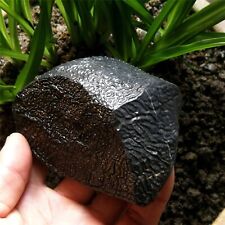 388g 90mm Rare Record Keeper Rock Natural Intact Texture Pattern Stone Specimen picture