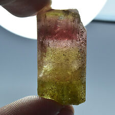 Natural Partialy Etched & Terminated Tri Colour Tourmaline Crystal 68.80 Carat picture