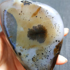 TOP 272 G Natural Polished Aquatic Plants Agate Crystal Madagascar YO788 picture