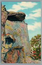 Observation Point From Lovers Leap Rock City Gardens Tennessee Vintage Postcard picture