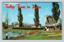 IA-Iowa, Tulip Time In Iowa, Vintage Postcard picture