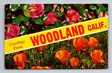 Woodland CA-California, General Banner Greetings, Antique Vintage Postcard picture