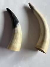 2 Raw Unfinished Cow Horns Natural Colored 7