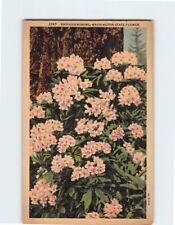 Postcard Rhododendrons Washington State Flower picture