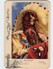 Postcard Chief Sitting Eagle picture