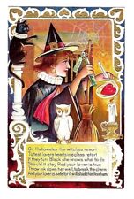 c1908 Halloween Postcard Witch Casting Love Potion, Black Cat picture