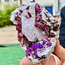 1.22LB Natural Colorful Chalcopyrite Calci Crystal ClustRare Mineral Specimen picture