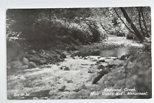 Vintage RPPC Redwood Creek Muir National Monument Golden Gate Park CA Postcard picture