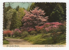 Postcard The Azalea Garden Biltmore House & Gardens Asheville North Carolina picture