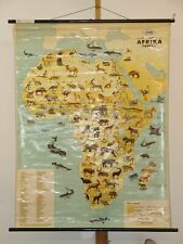 Schulwandkarte Wall Map Picture Card Bildwandkarte Africa Animal World ~ 1955 picture