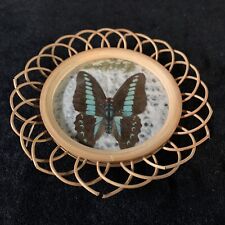 Bamboo Wicker Butterfly Coaster 5 Piece Set. Hand Painted To Appear As Real. picture