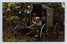 Amish Boys In a Horse Drawn Buggy Pennsylvania PA Postcard picture