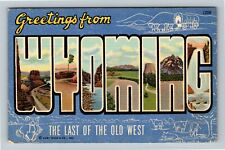 LARGE LETTER Greetings Wyoming  Vintage Souvenir Postcard picture
