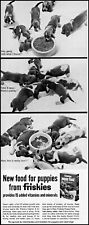 1966 Six puppies Friskies puppy food dog bowl vintage photo Print Ad adL68 picture