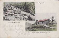 Wilmington, Vermont Averill Stand Trout Stream 1904 Postcard picture