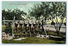c1910s Result Of Day's Sport Deer Hunting Tacoma Washington WA Unposted Postcard picture
