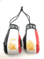 Country Flag Mini Boxing Gloves - New, One Pair, Multiple Countries Available picture