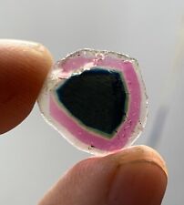 9 CT  Tri  Color TOURMALINE POLISHED SLICES FROM  AFGHANISTAN picture