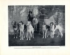 BORZOI ORIGINAL VINTAGE DOG PRINT PAGE FROM 1934 LADY AND HER GROUP OF 6 DOGS picture