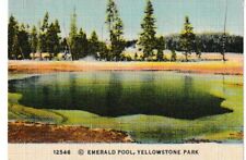 Vintage Yellowstone Park Mini Souvenir Cards Color 1940's picture