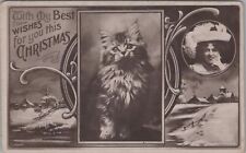 RPPC Postcard My Best Wishes for You this Christmas Furry Cat  picture