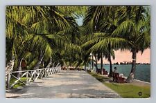 Miami FL-Florida, Promenade Along Biscayne Bay, Vintage c1939 Postcard picture