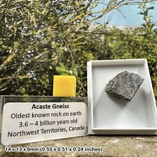 Acasta Gneiss - Oldest Known Rock on Earth - CERTIFIED picture