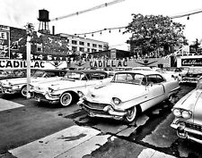 1950s CADILLACS on Dealership Parking LOT Classic Car Picture Photo 8x10 picture