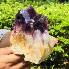810G Natural Amethyst Cluster Purple Quartz Crystal Rare Mineral Specimen picture