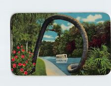 Postcard Horse Shoe Palm Silver Springs Florida USA North America picture