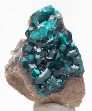 DIOPTASE Specimen Crystal Cluster Emerald Green Mineral KAZAKHSTAN picture