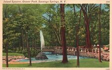Vintage Postcard 1930's Island Spouter Geyser Park Saratoga Springs New York NY picture
