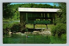 Northfield Falls VT, Old Covered Bridge, Enjoying A Swim Chrome Vermont Postcard picture