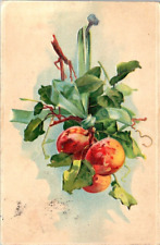 vintage postcard - Fruit postcard embossed undivided back posted 1908 picture