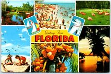 Postcard - Greetings From Florida picture