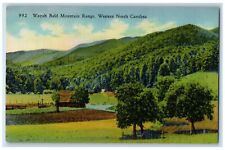 c1930's Wayah Bald Mountain Range Hut Scene Western North Carolina NC Postcard picture