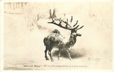 Postcard 1924 Washington Walla Walla Elk Camel Fraternal Hello Bill WA24-1420 picture