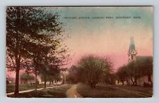 Shepherd MI-Michigan, Orchard Avenue Looking West, Vintage c1915 Postcard picture