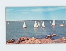 Postcard Yacht Races at Marblehead Harbor Massachusetts USA picture
