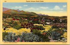 Typical Arizona Ranch Scene AZ Cattle Linda Vista Ranch Linen Vintage Postcard picture