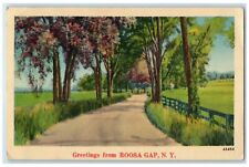 1940 Greetings From Road Trees Field Roosa Gap New York Vintage Antique Postcard picture