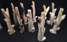 1 Miocene Fossil Petrified Wood Branch Indonesia picture